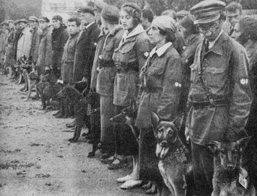 Sejarah Pasukan Anjing Bom Bunuh Diri Soviet yang Dilatih untuk Hancurkan Tank