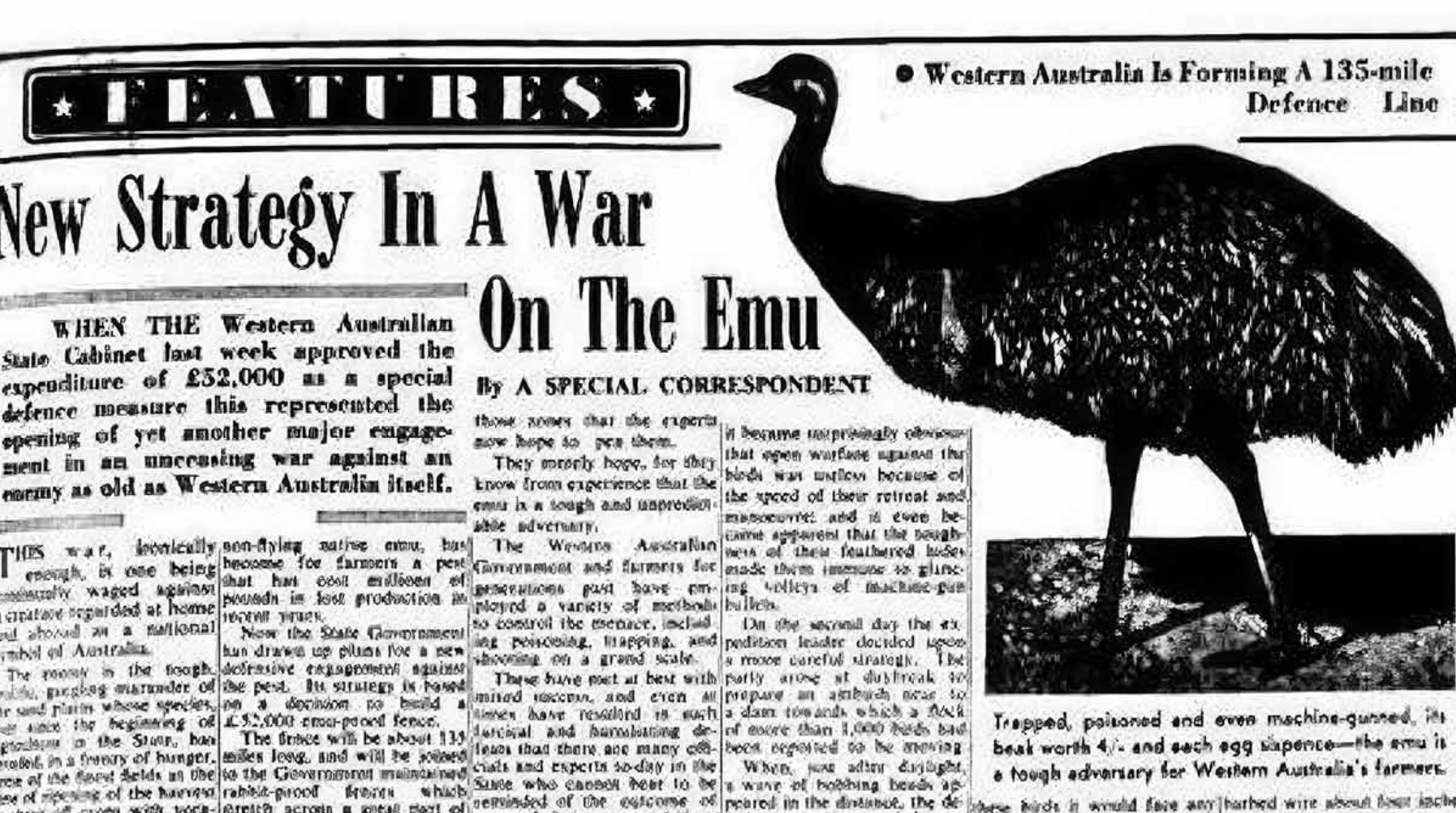 Perang Emu: Ketika Australia Kalah Melawan Unggas