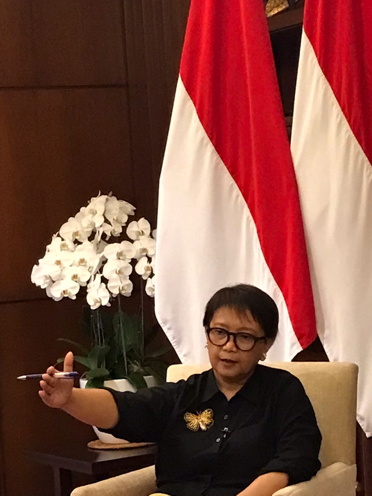 10 Tahun Diplomasi Indonesia dan Perjalanan Panjang Bantu Kemerdekaan Palestina
