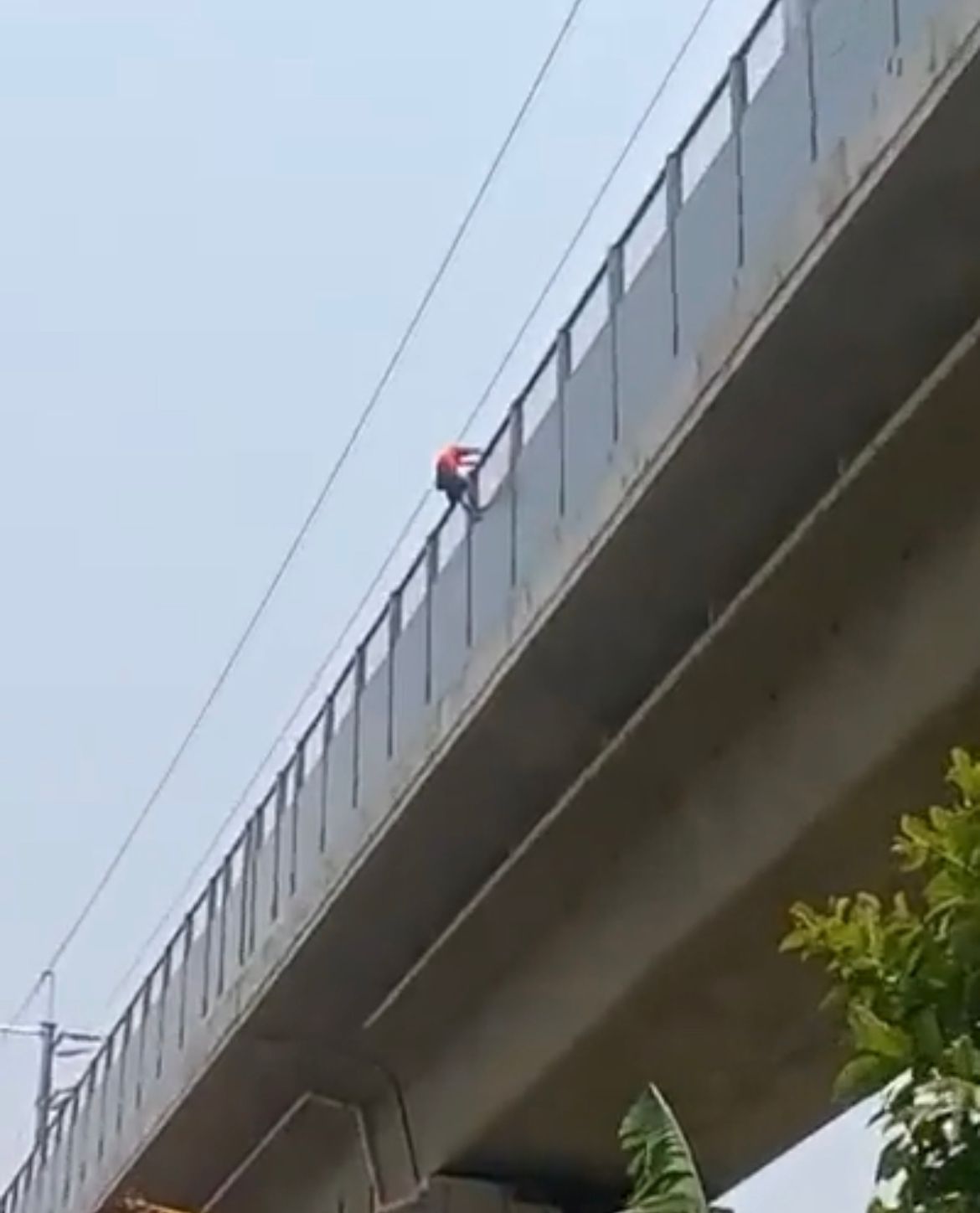 Viral Pria Diduga Hendak Bunuh Diri di Jalur Whoosh, Perjalanan Kereta Terhenti