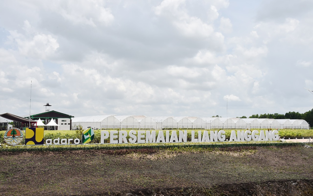 Dukung RHL, Persemaian Bibit Skala Besar Dilakukan di Sejumlah Wilayah