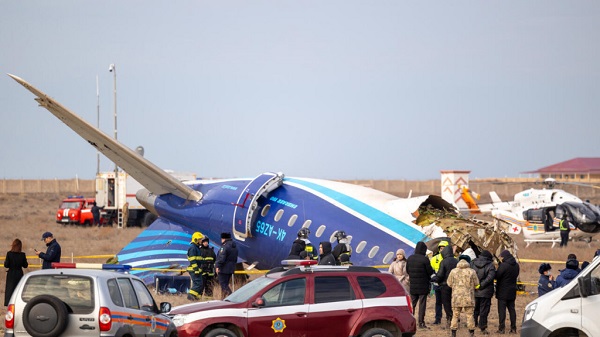 Termasuk Jeju Air, Ini Daftar Kecelakaan Pesawat Akibat Bird Strike