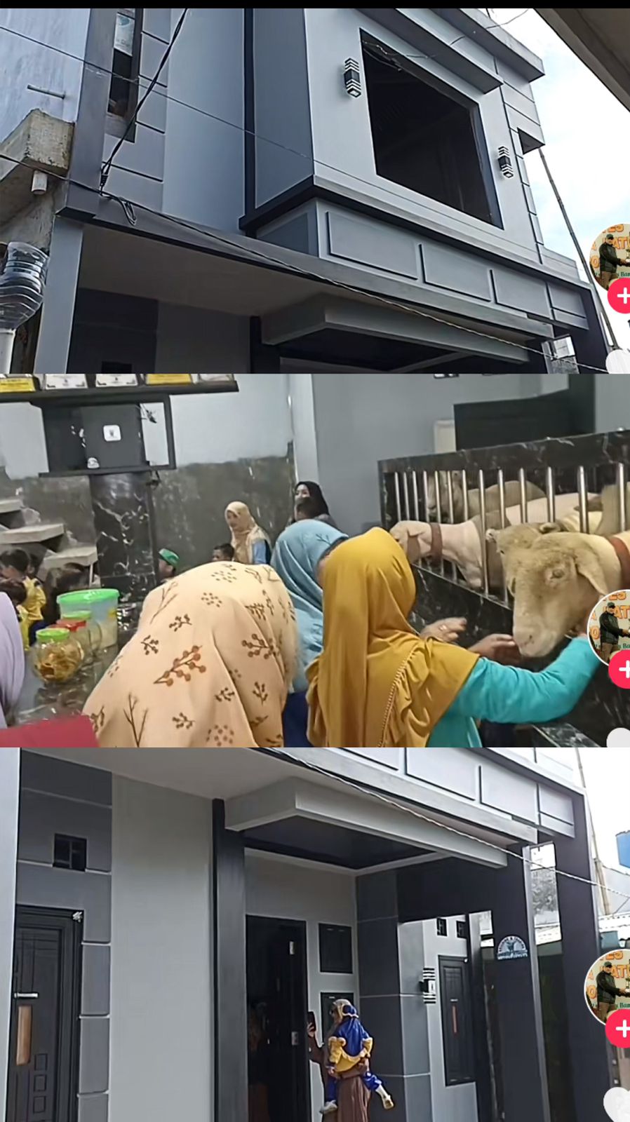 Viral Kandang Domba di Banjarnegara Senilai Rp500 Juta, Dindingnya Pakai Granit