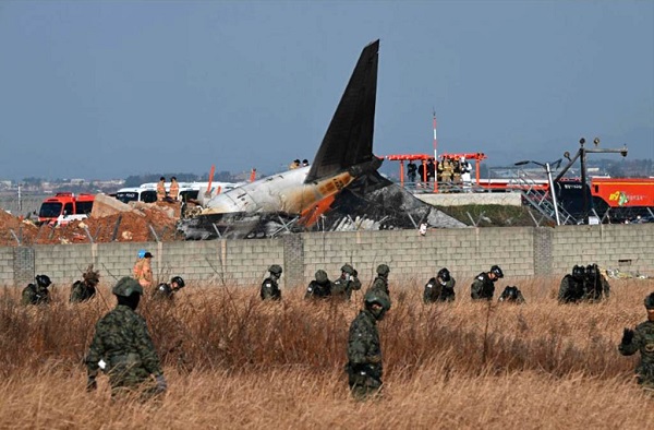 Termasuk Jeju Air, Ini Daftar Kecelakaan Pesawat Akibat Bird Strike
