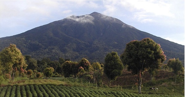 Daftar 7 Gunung Tertinggi di Indonesia