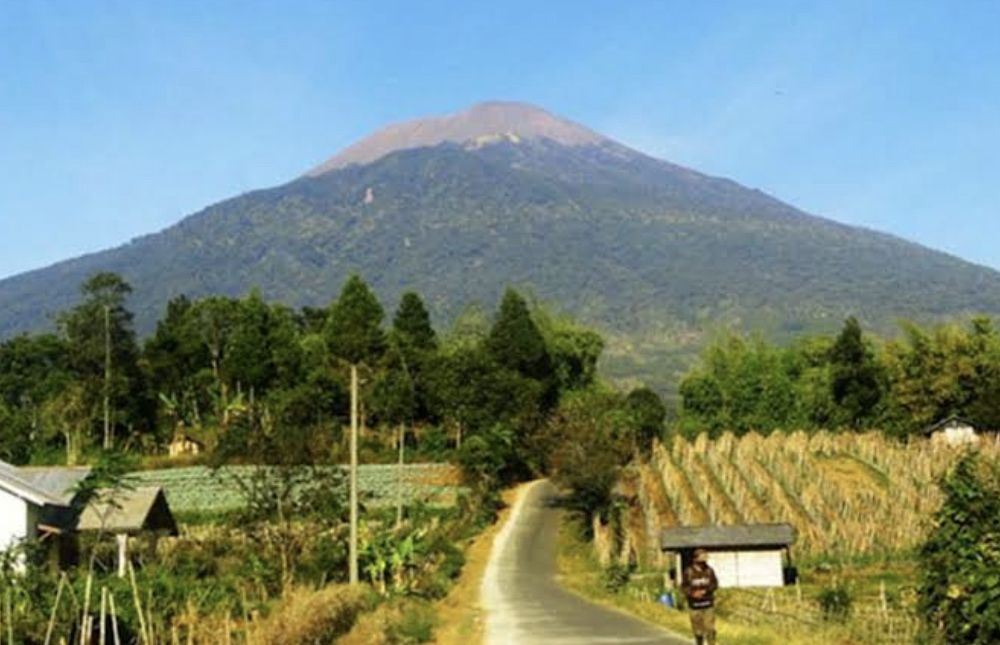 Daftar 7 Gunung Tertinggi di Indonesia