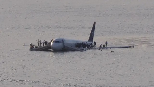 Termasuk Jeju Air, Ini Daftar Kecelakaan Pesawat Akibat Bird Strike