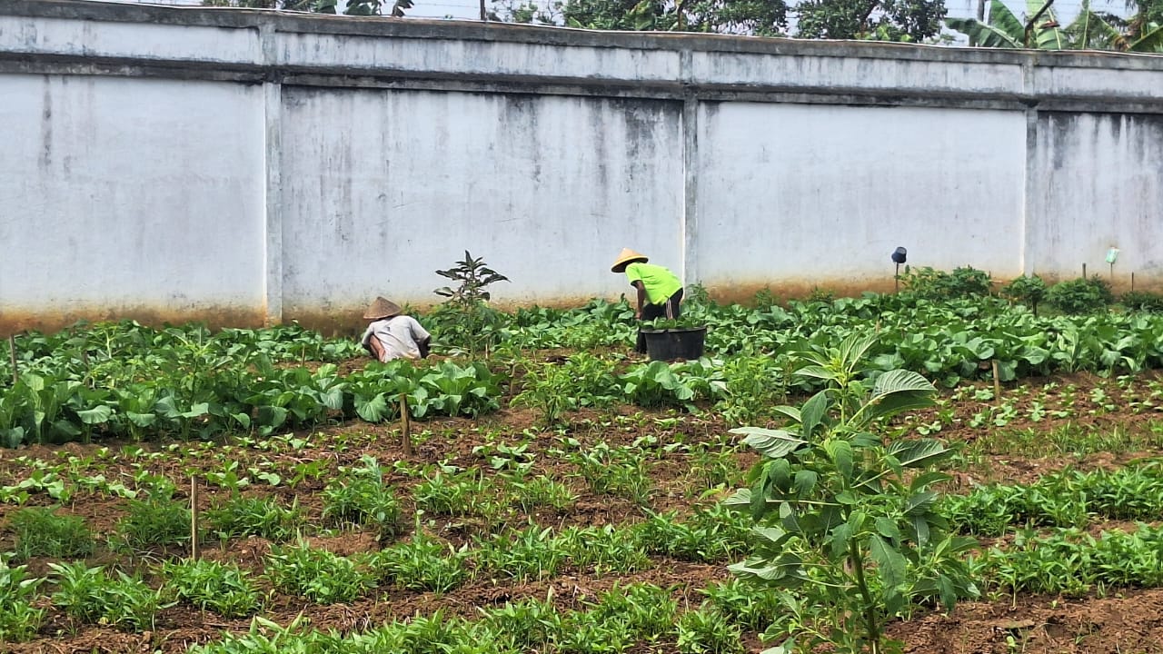 Mengubah <i>Image</i> Penjara di Sumbar Menjadi Lapas Produktif