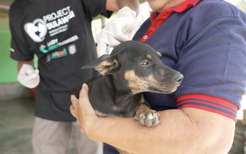 Upaya Eliminasi Rabies, Gorontalo Larang Perdagangan Daging Anjing dan Kucing