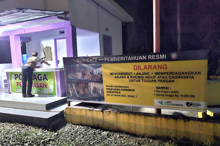 Upaya Eliminasi Rabies, Gorontalo Larang Perdagangan Daging Anjing dan Kucing