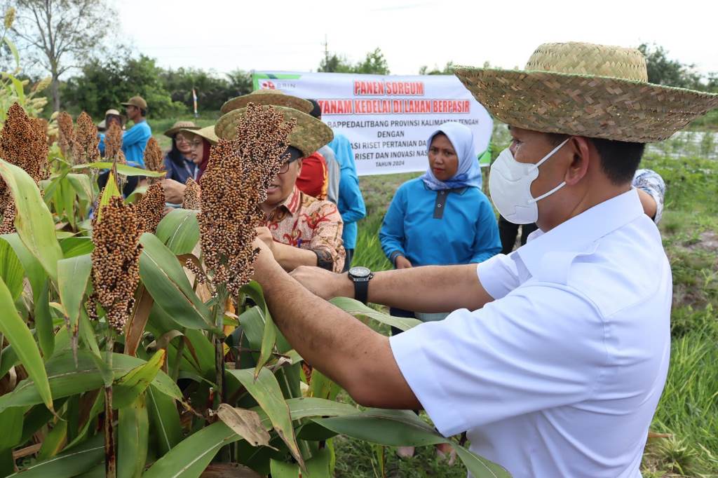 Perkenalkan Smart Greenhouse, Pertanian Berteknologi Internet of Things