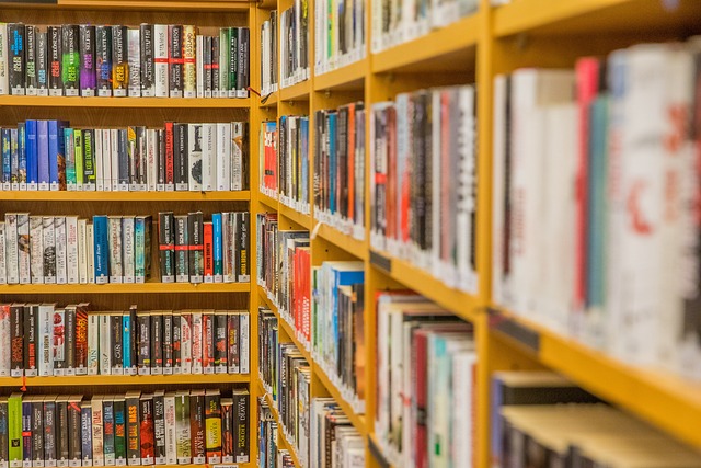 Kosakata Jenis-jenis Toko dalam Bahasa Inggris dan Terjemahan