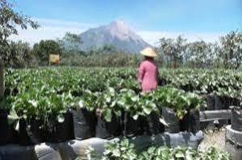 Contoh Soal TKA Geografi 2025 Beserta Kunci Jawabannya