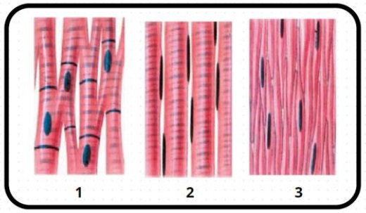 Latihan Yuk, 30 Soal IPAS Kelas 6 Semester 1 untuk Asah Kemampuanmu!