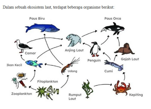 Contoh Soal TKA Biologi SMA dengan Kunci Jawaban