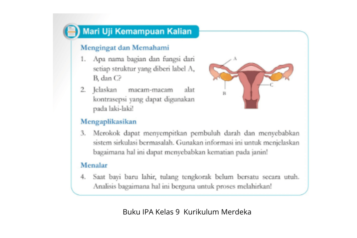 Buku IPA Kelas 9 Kurikulum Merdeka_ DOK YouTube Media Pembelajaran