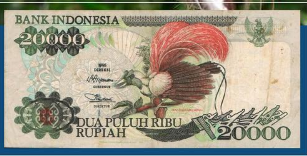 Cenderawasih