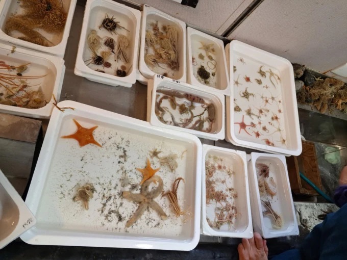 Pengalaman Langka, Alumnus UGM Ini Ikut Ekspedisi Ilmiah di Antartika