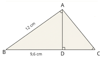 Simulasi TKA: 30 Soal Matematika SMP 2026, Gas Dicoba!