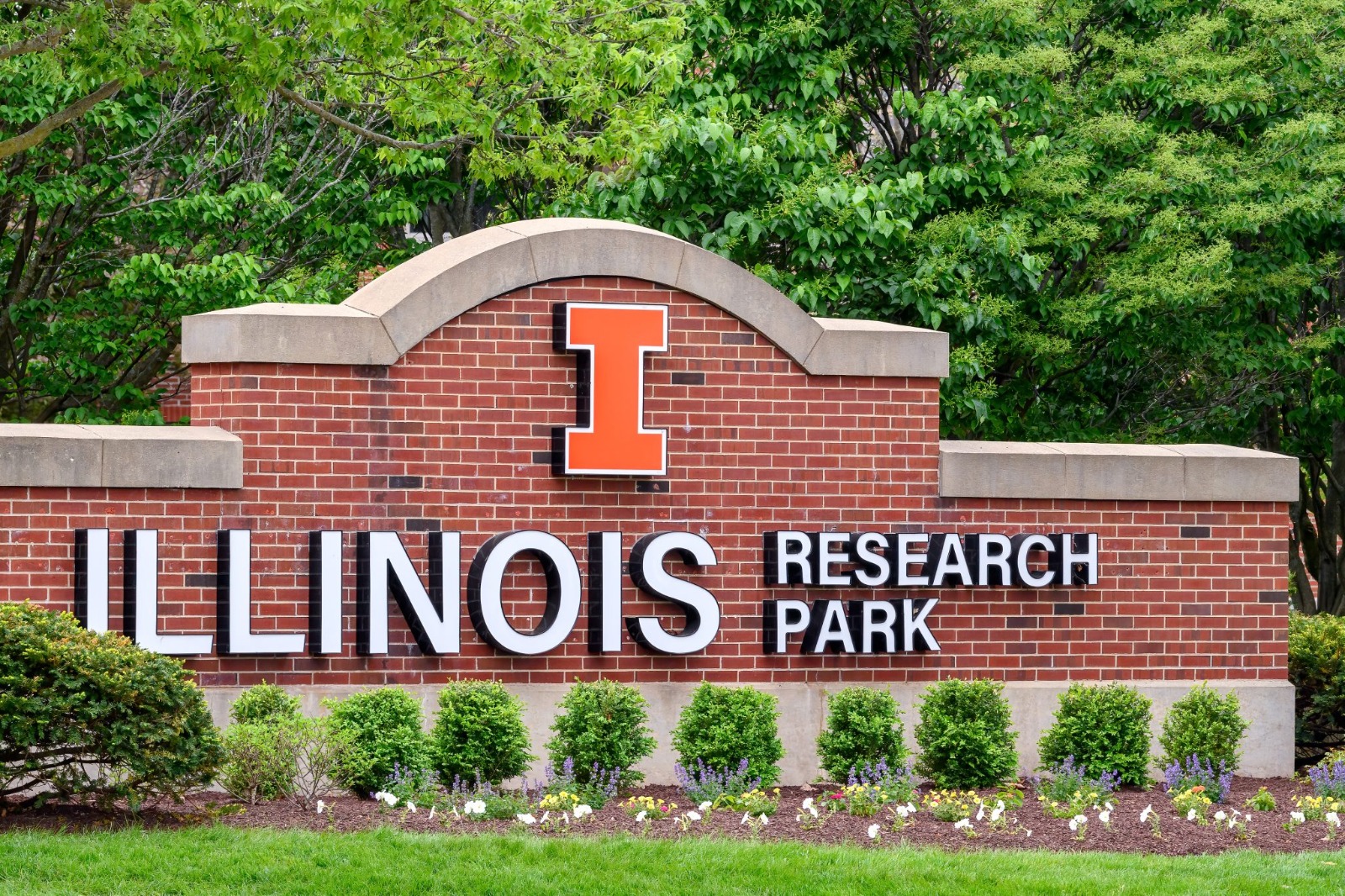 Illionis University