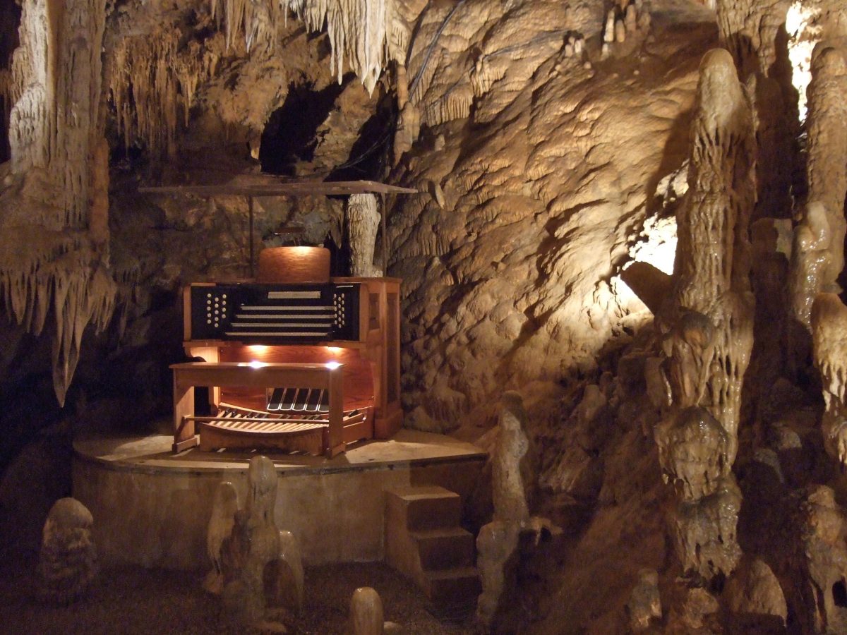 10 Alat Musik Paling Unik di Dunia yang Mungkin Belum Pernah Kamu Dengar