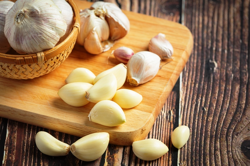 Tips Rumah Bebas Nyamuk saat Musim Hujan