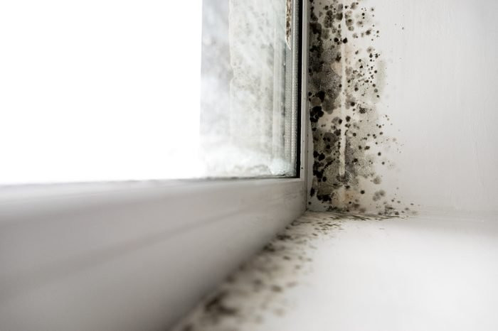 Penyebab Jamur Muncul di Kamar Mandi dan Tips Menghilangkannya