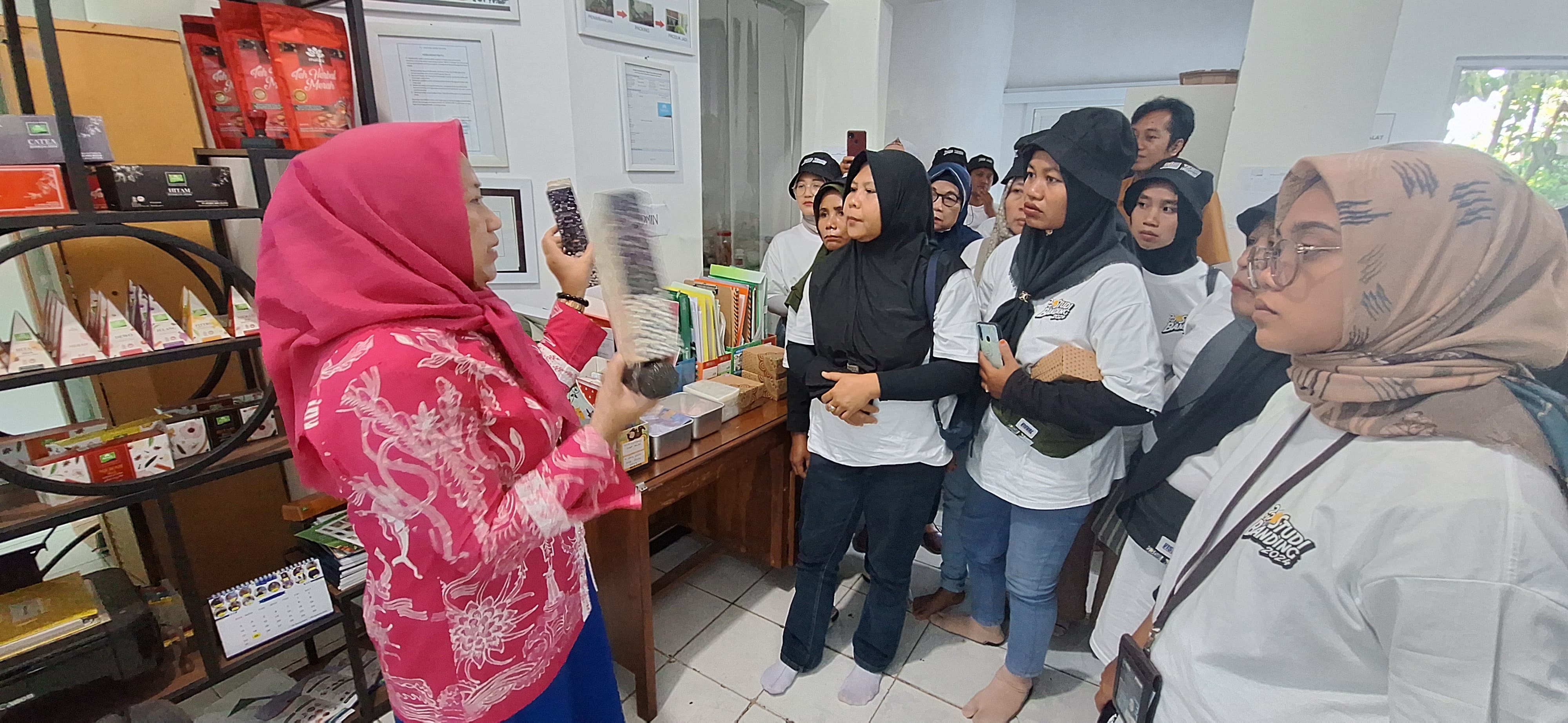 Yuk, Ikutan Kompetisi Racik Jamu Kekinian Besutan PNM dan Kementerian BUMN