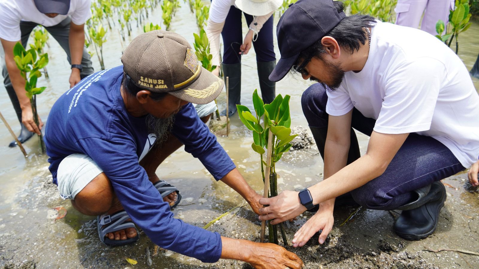Upaya Pemulihan Pesisir Karawang Dukung Ketahanan Lingkungan dan Berkelanjutan