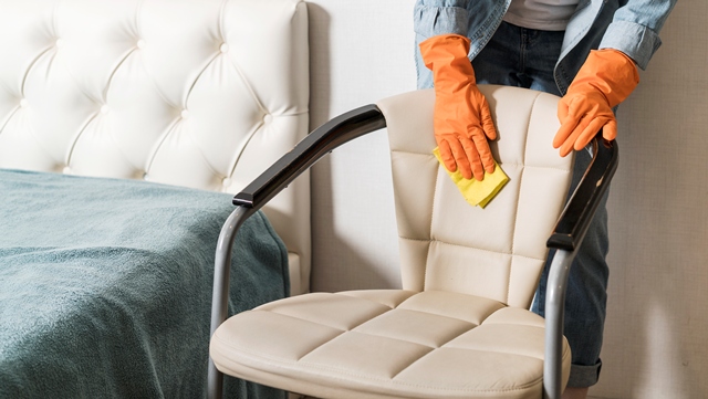 Jangan Asal Lap! Ini Cara Bersihkan Sofa Kulit agar Tidak Berjamur