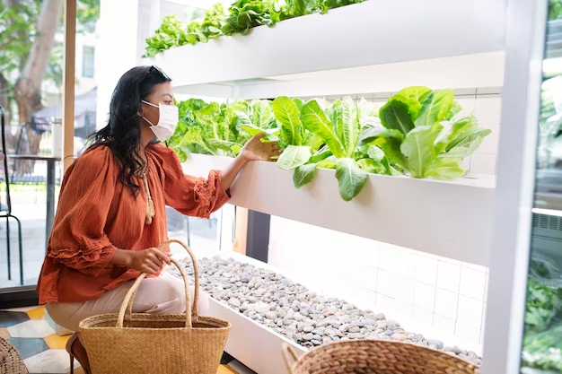Mau Punya Kebun Sendiri? Pakai Cara Ini