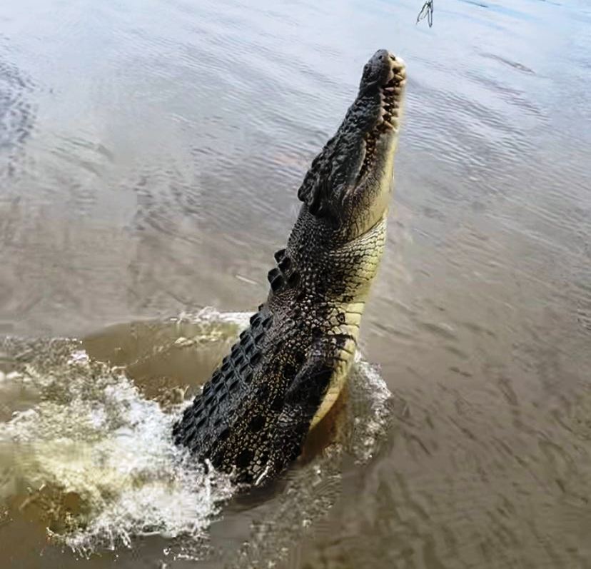 Menyusuri Surga Tropis di Ujung Utara Australia