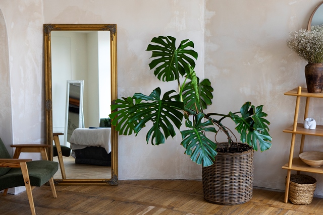 Bawa Hoki! Begini Feng Shui Rumah yang Tepat
