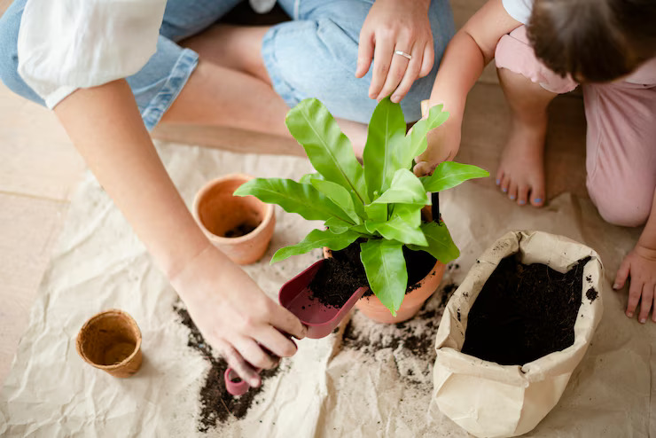 Awas! 8 Kebiasaan Berkebun Ini Bisa Merusak Tanaman