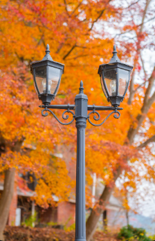 6 Jenis Lampu Taman <i>Outdoor</i> yang Bikin Halaman Makin Estetik