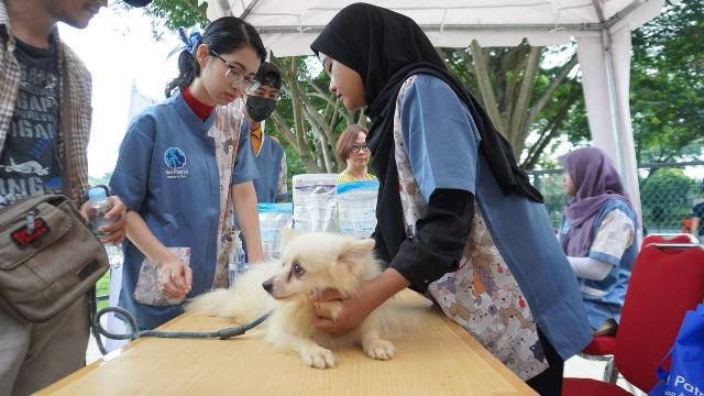 Pengembang Sediakan Ruang Publik, Bikin Taman Khusus Anabul