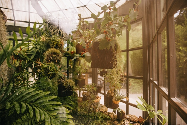 Mudah, Begini Cara Menata Halaman di Rumah Kecil