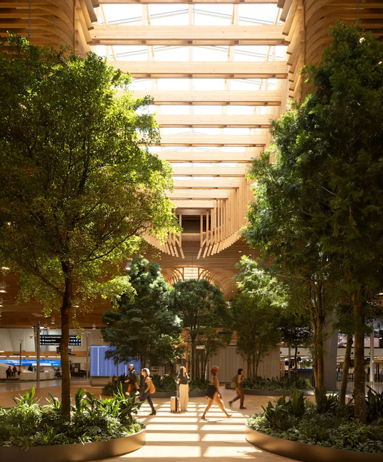 Bandara Terindah 2025, Desain Futuristik dan Ramah Lingkungan!
