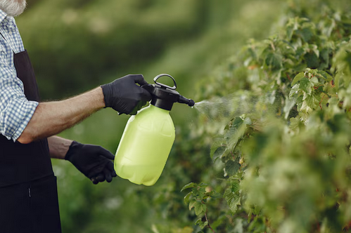 Tanpa Bahan Kimia, Ini 7 Tips Usir Hama dari Kebun Secara Alami