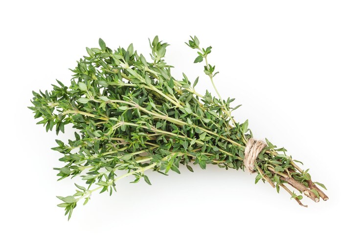 Tanaman Hias yang Ampuh Usir Hama, dari Rosemary hingga Marigold