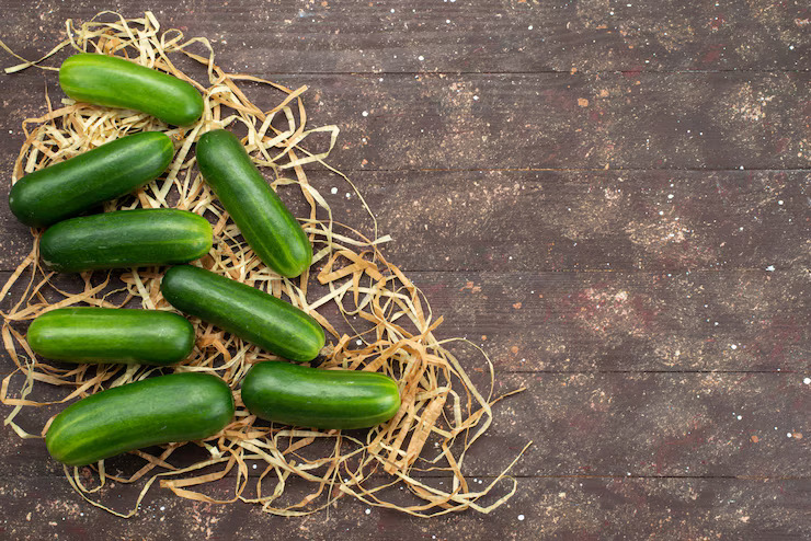 Mau Berkebun Sendiri? Ini 5 Sayuran yang Cocok