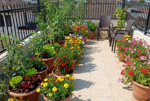 Atap Rumah Jadi Kebun Sayur? Ini 5 Desain <i>Rooftop Garden</i>