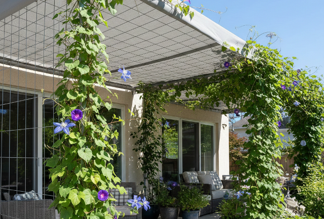 Inspirasi Kanopi Tanaman Rambat untuk Rumah Tropis