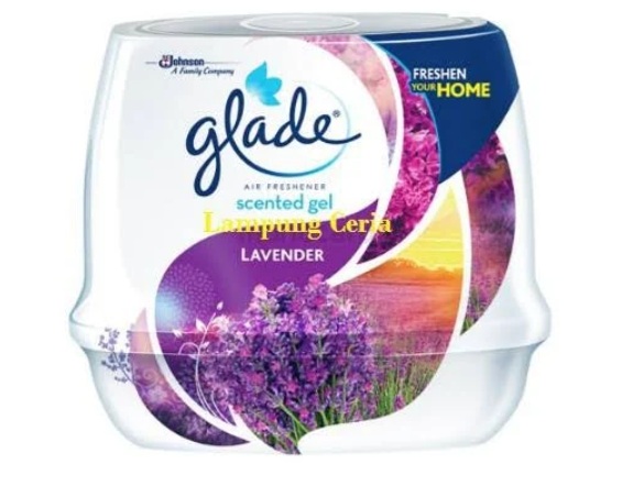 5 Pengharum Ruangan Tahan Lama, Wangi Awet Tanpa Ribet