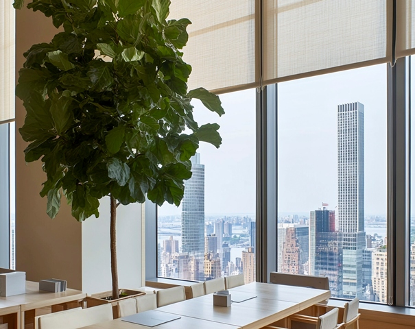 roller blinds