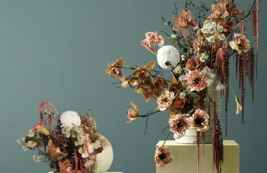 Tren Warna Rumah 2026, Ciptakan Suasana Nyaman di Hunian