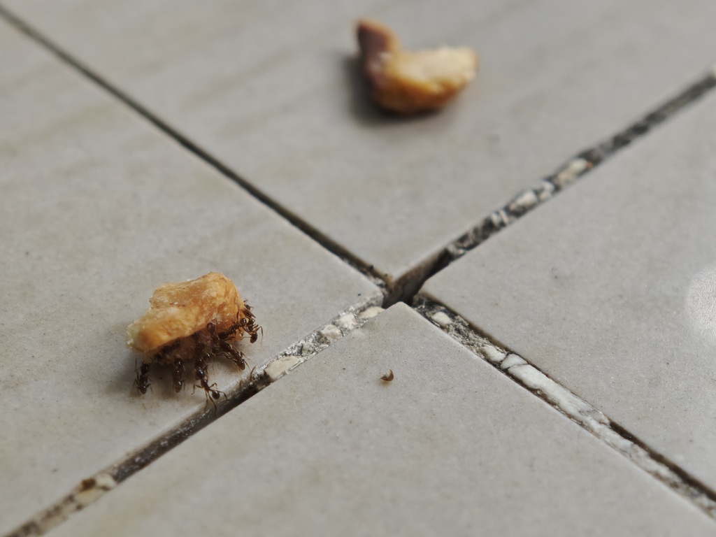 Review Xiaomi 15, Tampilan Lama tapi Pemakaian Menyenangkan
