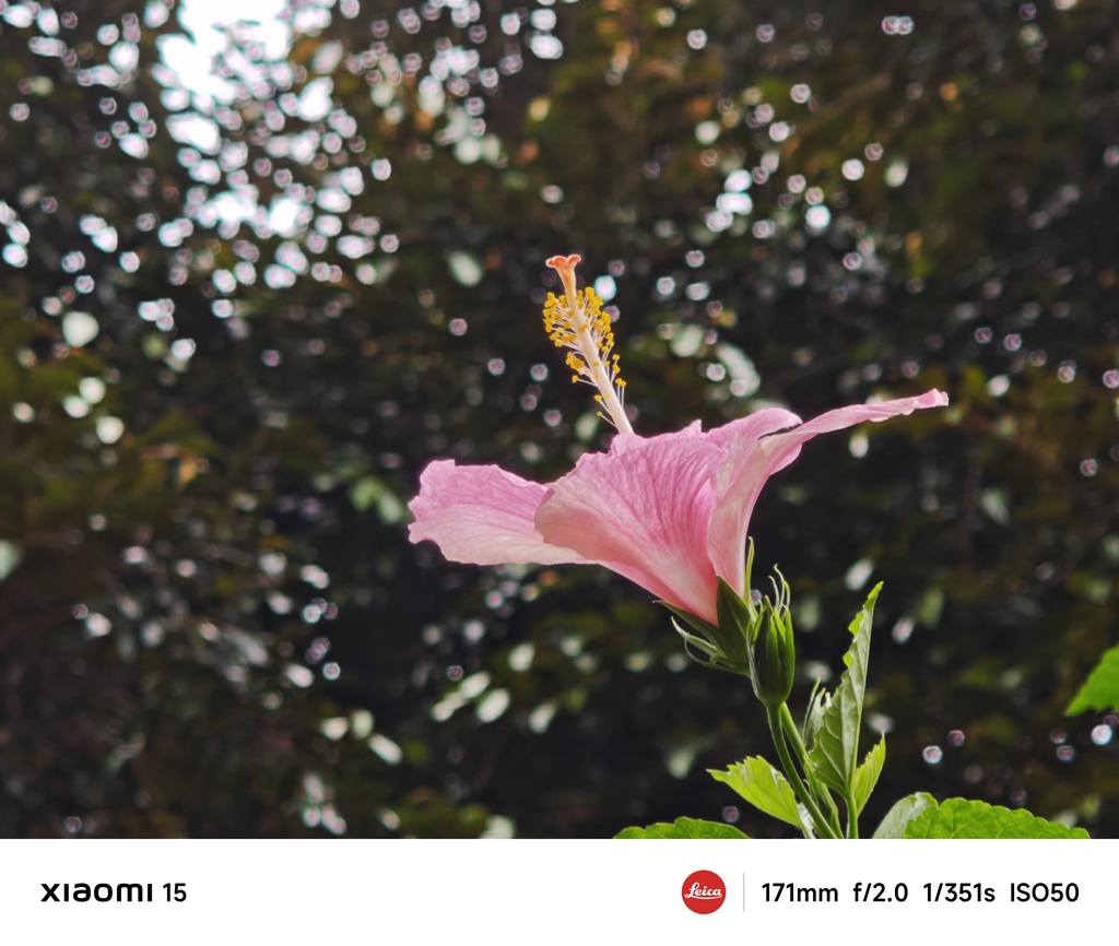 Review Xiaomi 15, Tampilan Lama tapi Pemakaian Menyenangkan