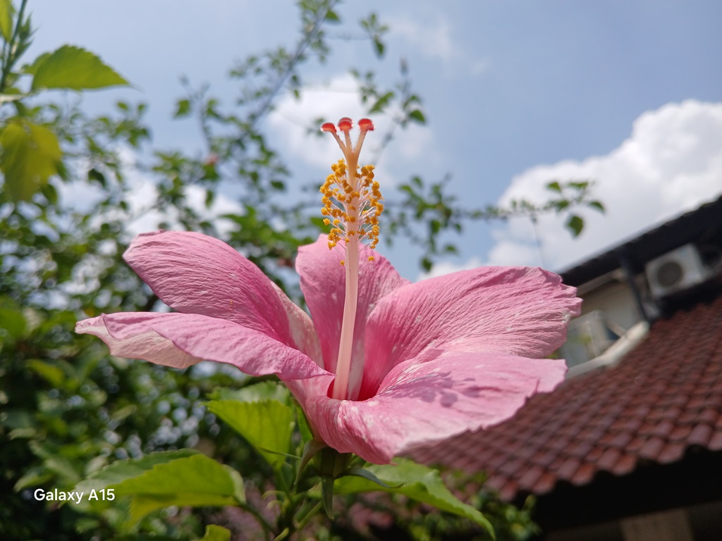 Review Samsung Galaxy A15 4G, Spesifikasi Menengah Harga Terjangkau Rasa Premium