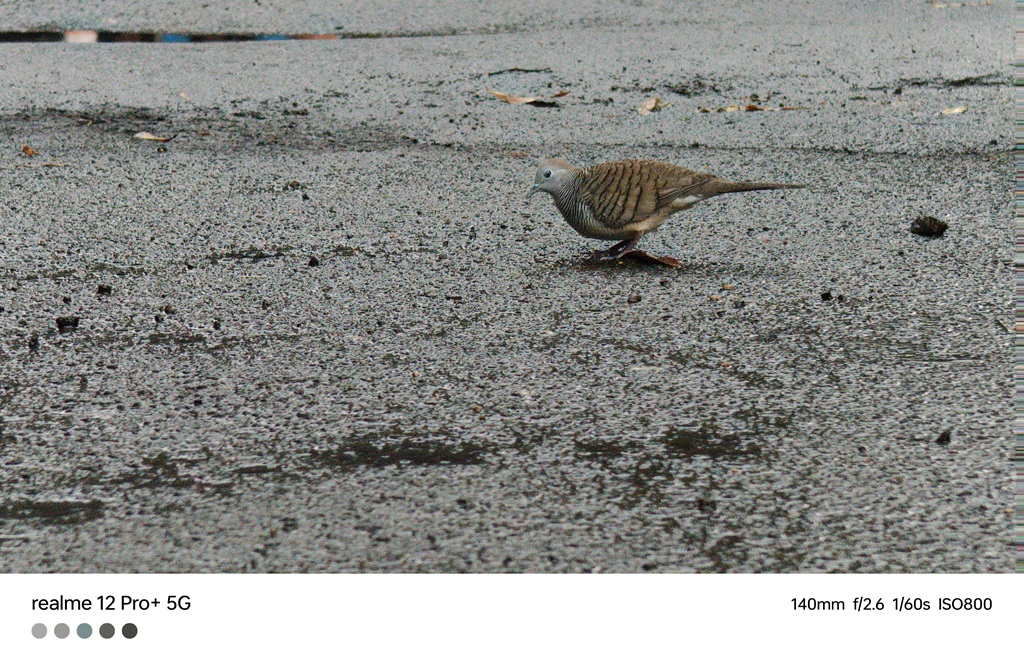 Review realme 12 Pro+ 5G, Kamera Hape Kelas Menengah Tidak Pernah Sehebat Ini